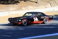 G12-Trans Am